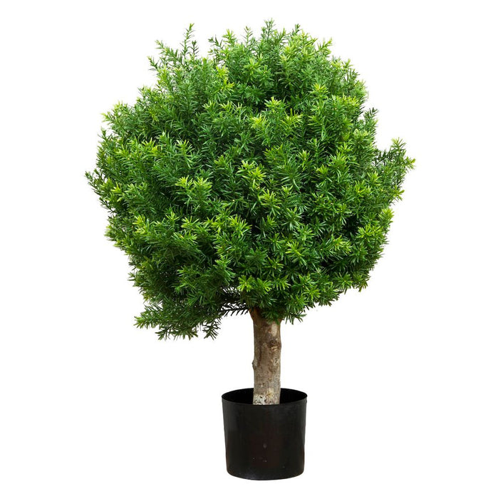 Taxus Ball Tree H85 D70