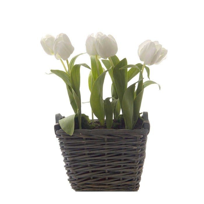 Tulip in Grey Basket 27x48