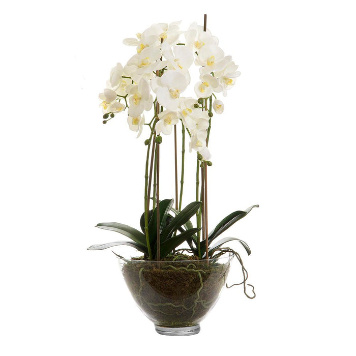 Orchid Glass Bowl Large 85cm White