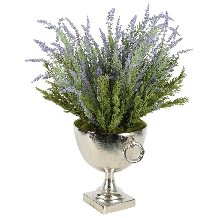 Dame Lavender Arrangement