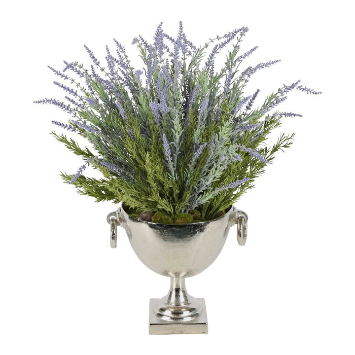 Dame Lavender Arrangement