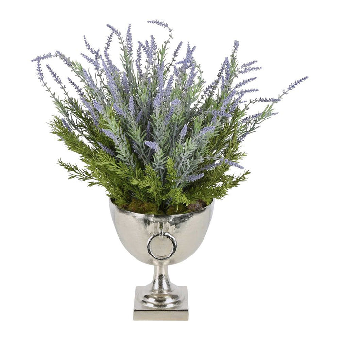 Dame Lavender Arrangement
