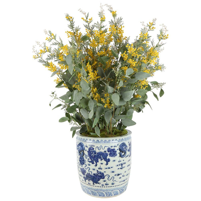 Ming Wattle Arrangement