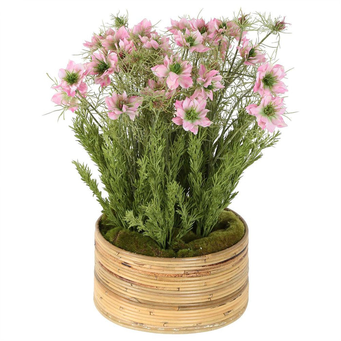 Pink Cosmos Arrangement