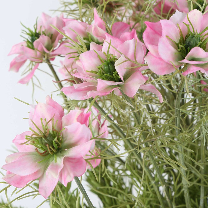 Pink Cosmos Arrangement