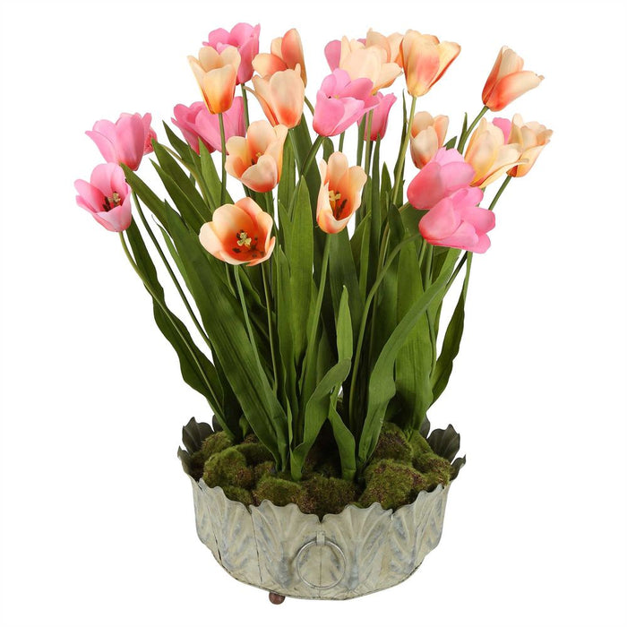 Tulipana Arrangement