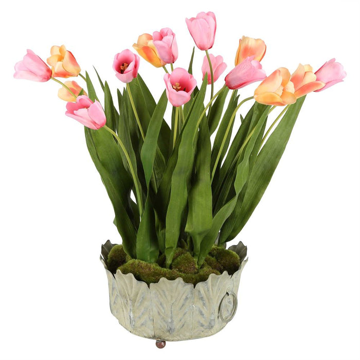 Tulipana Arrangement