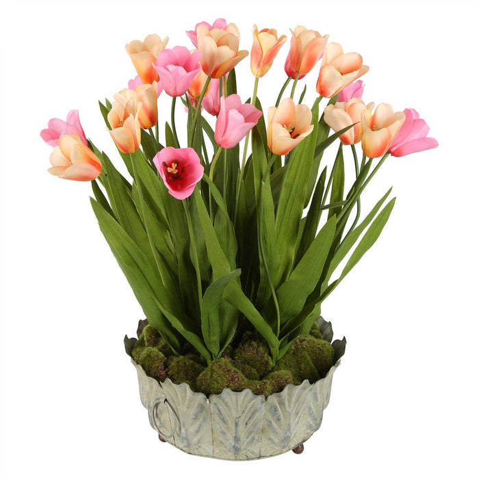 Tulipana Arrangement