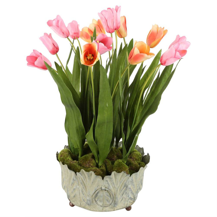 Tulipana Arrangement