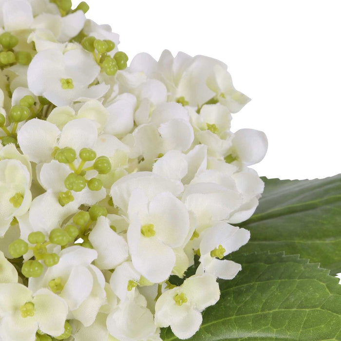 Stacy White Hydrangea Arrangement