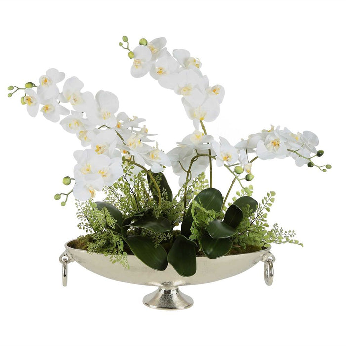 Dame White Orchid Arrangement