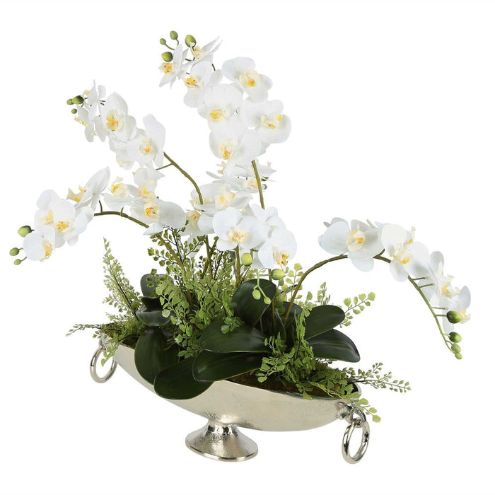 Dame White Orchid Arrangement