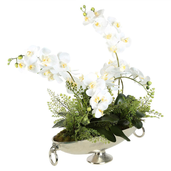 Dame White Orchid Arrangement