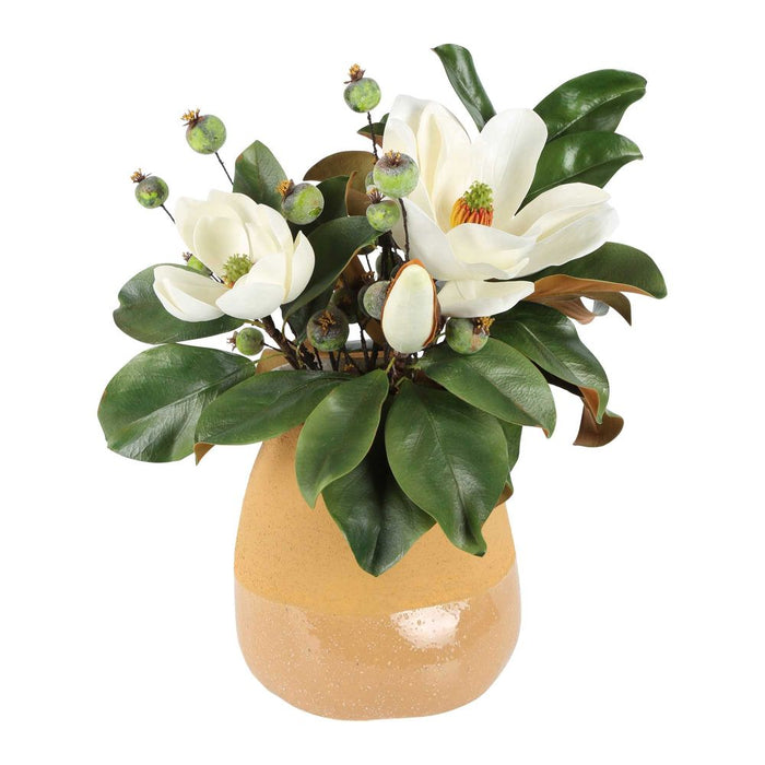 Magnolia Delight Arrangement