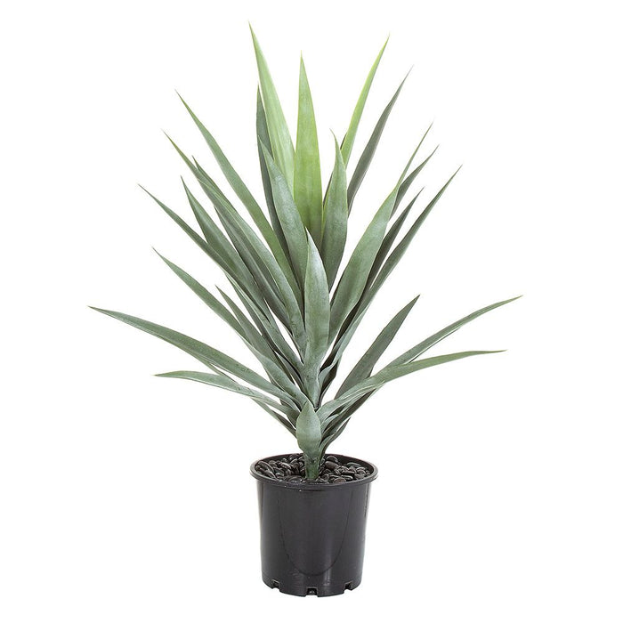 Yucca Head Potted 64cm