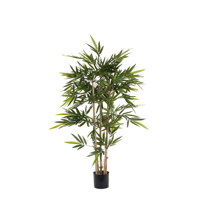 Bamboo Tree 1.2m